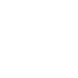 خدمات الیزه