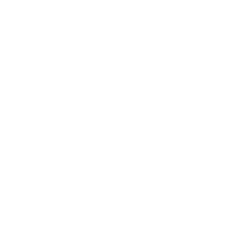 خدمات الیزه