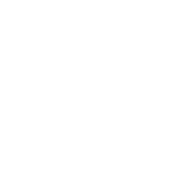 خدمات الیزه